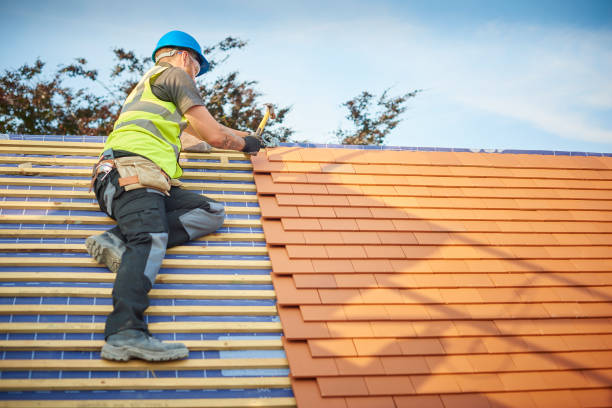 Best Sheet Metal Roofing  in North Kingsville, OH